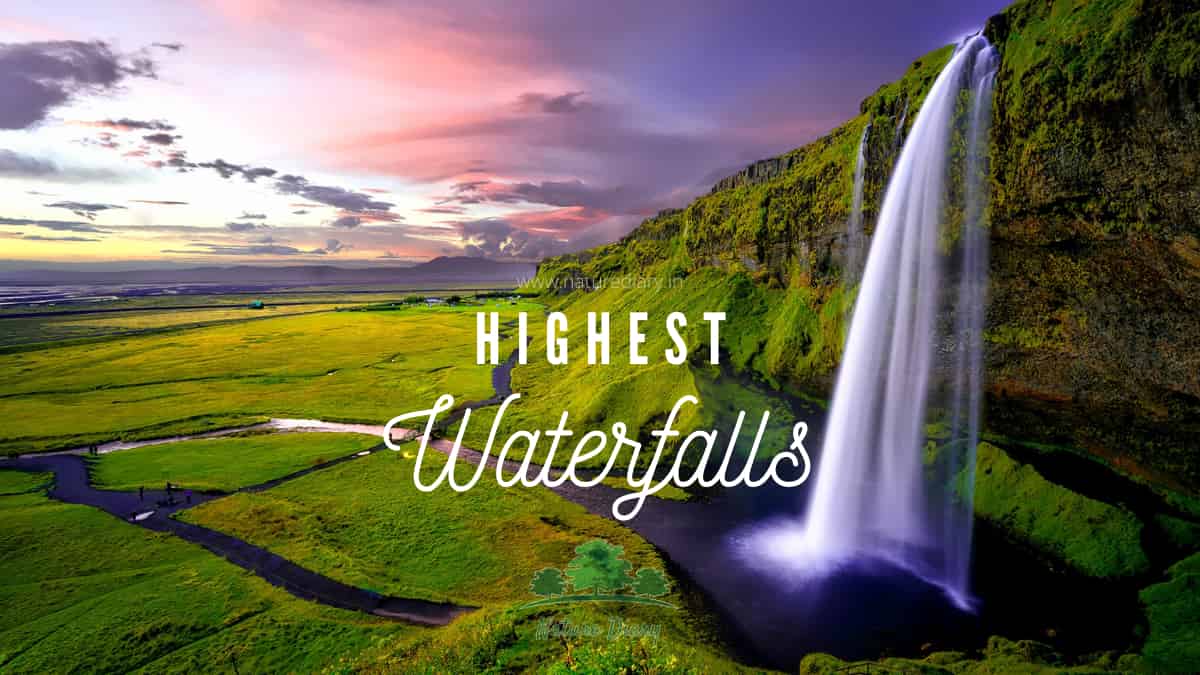 highest waterfalls in India