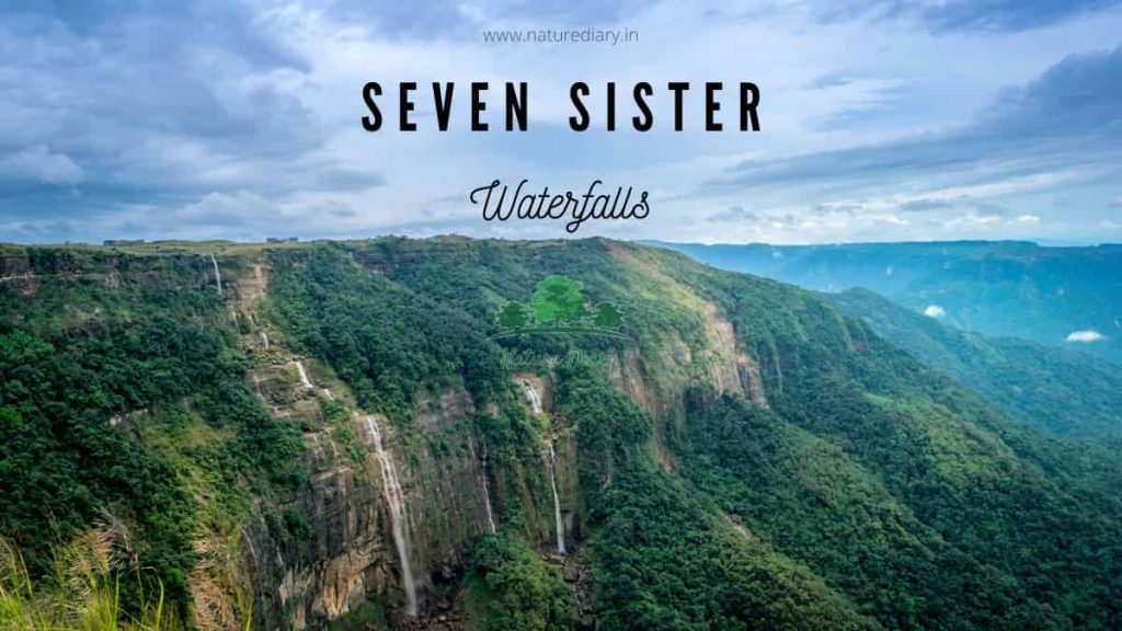seven sister tallest waterfall in India