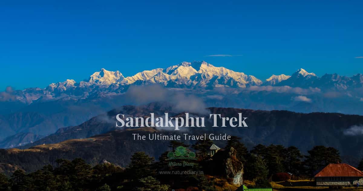 Trekking to Sandakphu