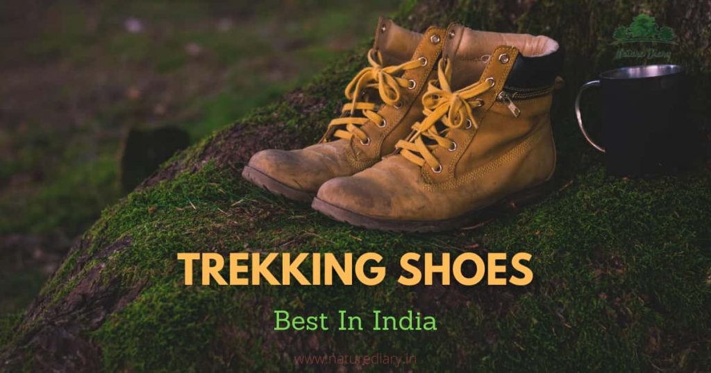 best trekking shoes in India