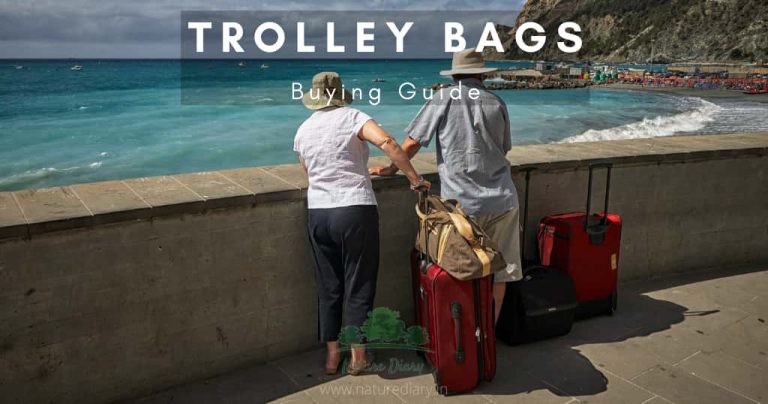 10 Best Trolley Bags in India for 2021 from Reputed Brands