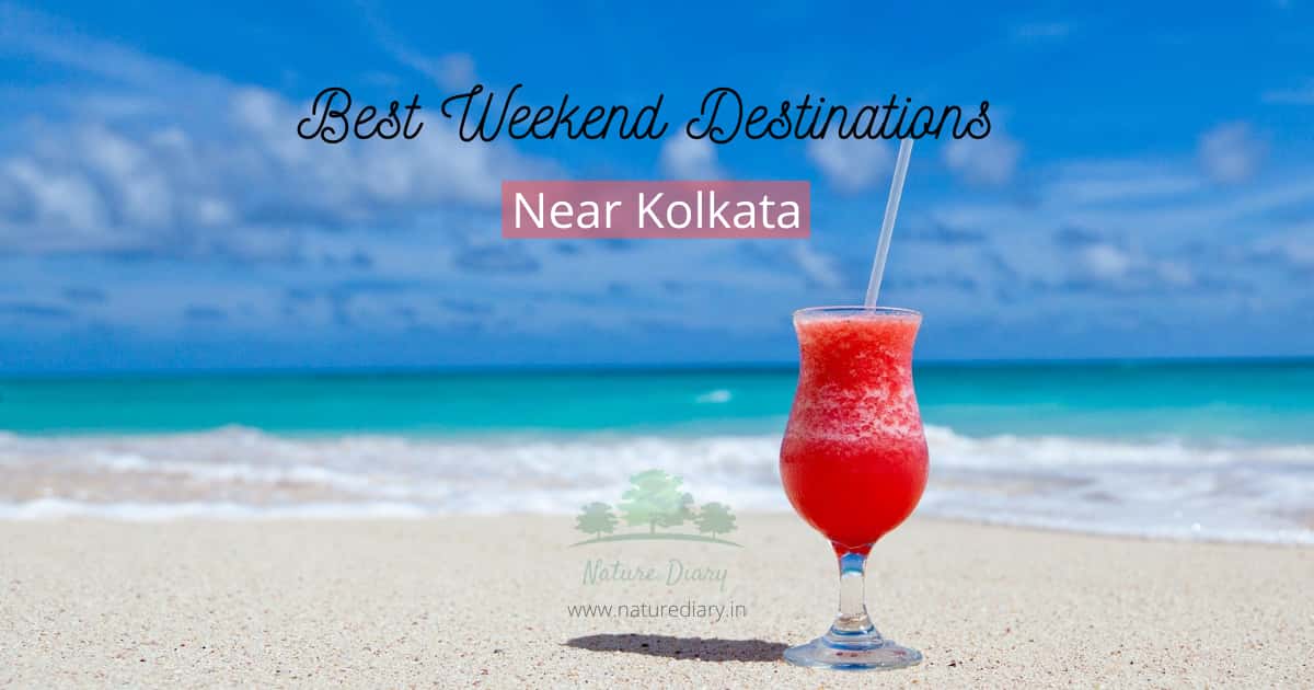 best weekend destinations near kolkata
