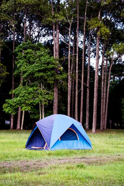 types of camping tents