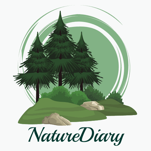 naturediary site icon