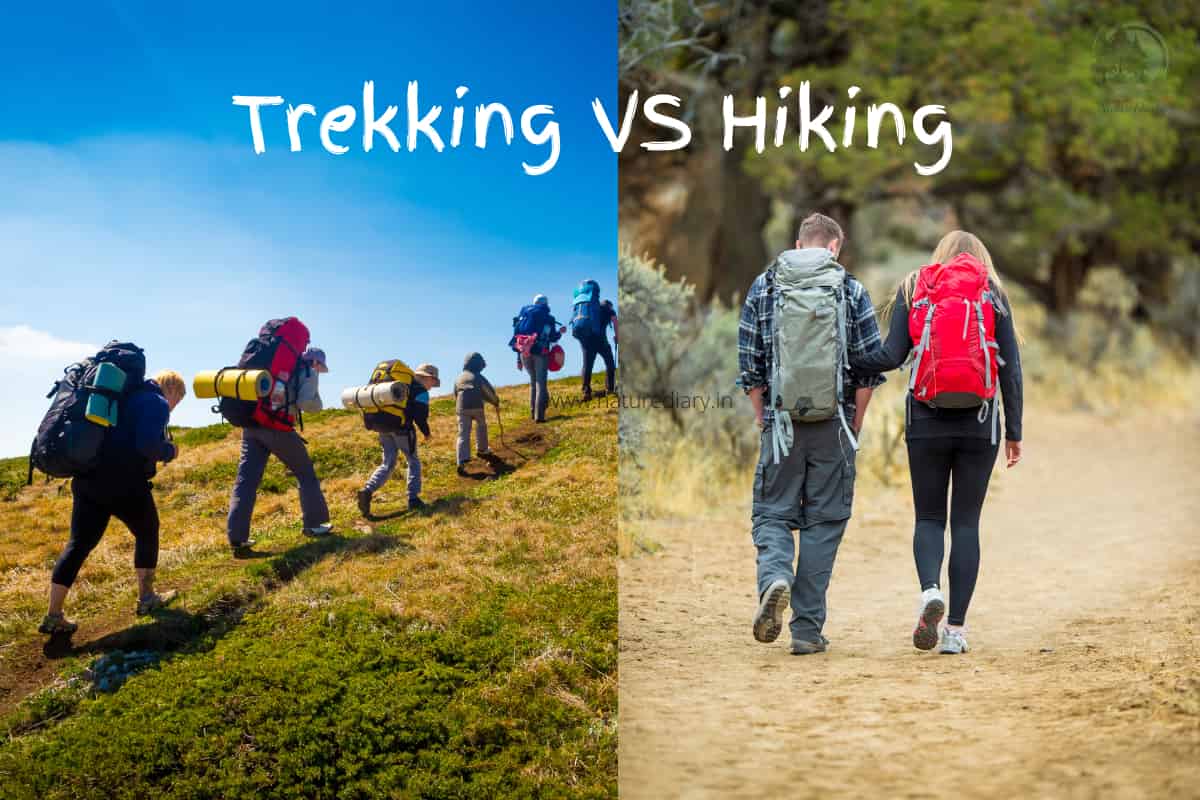 trekking vs hiking