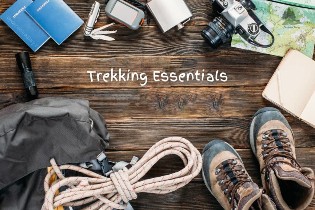 trekking essential list