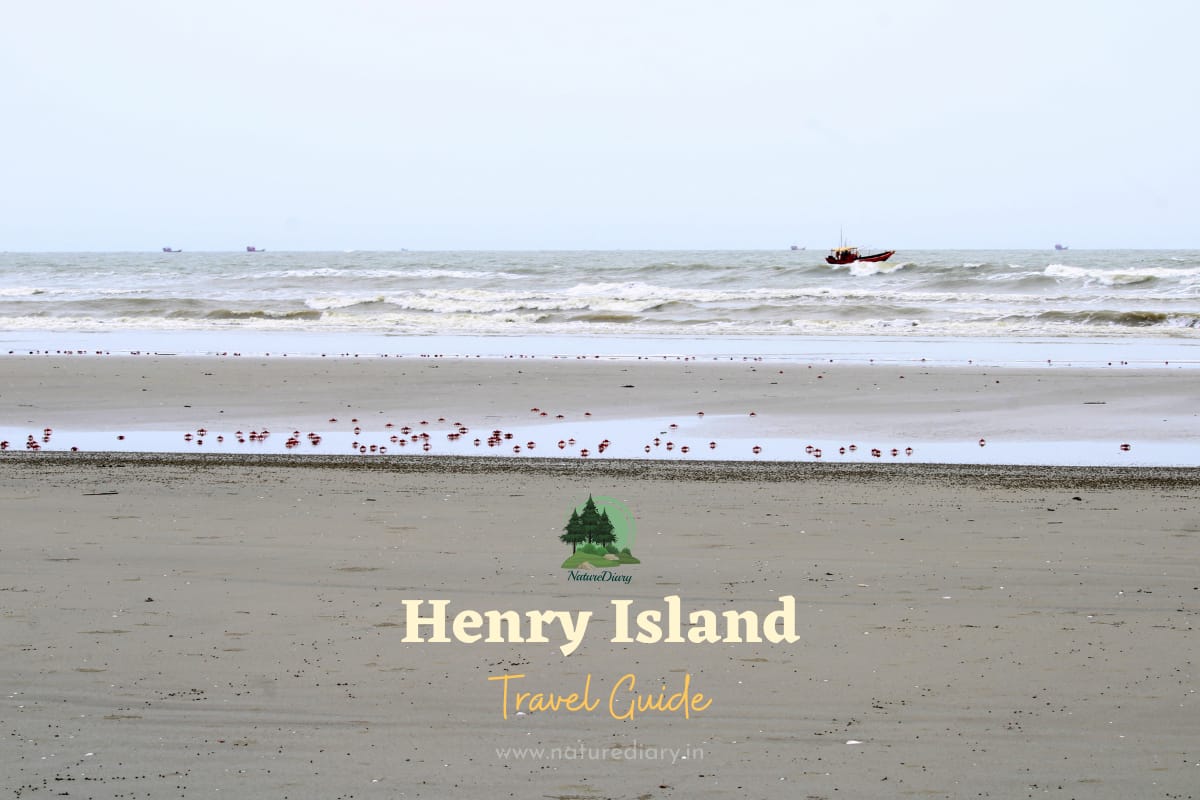 Henry Island Travel Guide with Best Resorts to Book