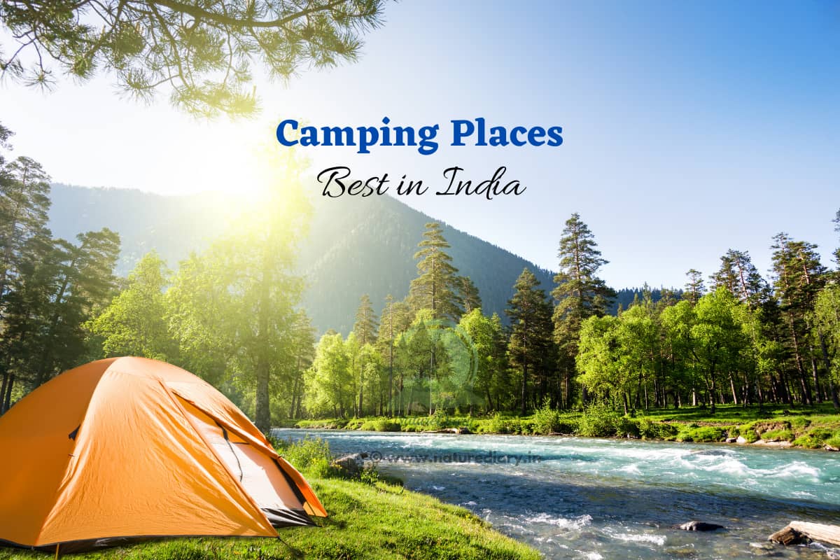 best camping places in India