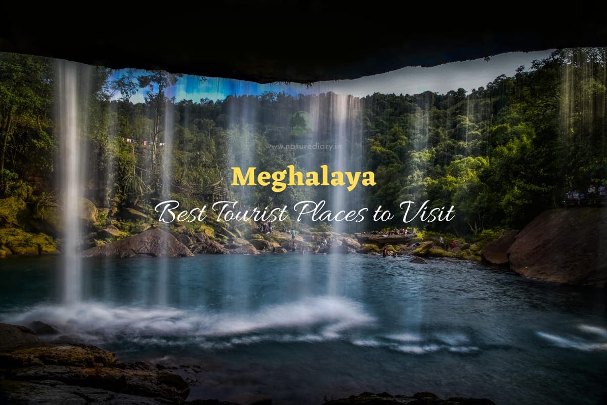 15 Tourist Places to Visit in Meghalaya – Travel Guide