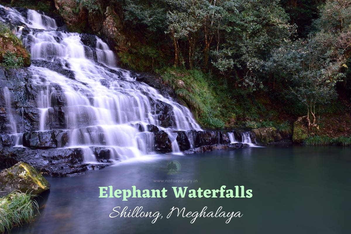 Elephant Waterfalls in Meghalaya