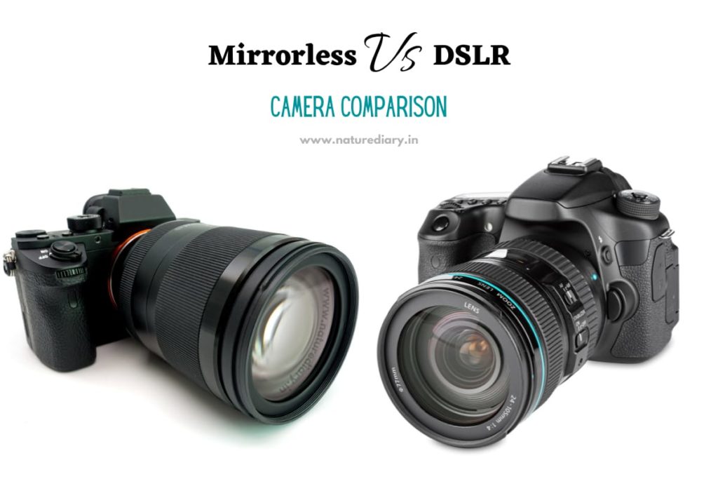 Mirrorless vs. DSLR Camera