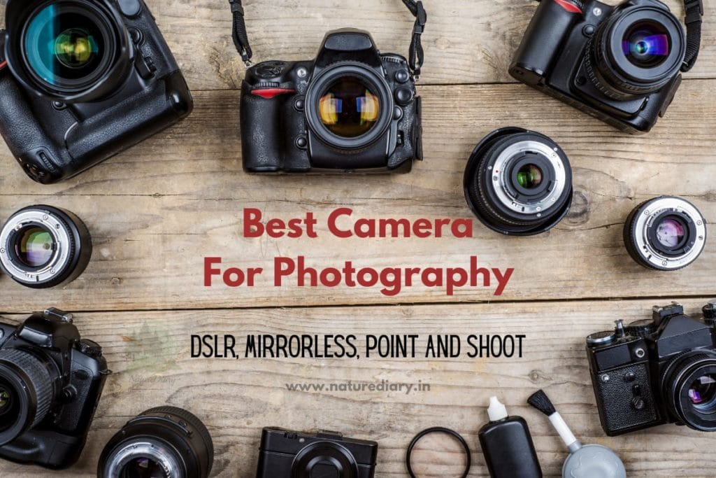 Best Camera for Photography in India