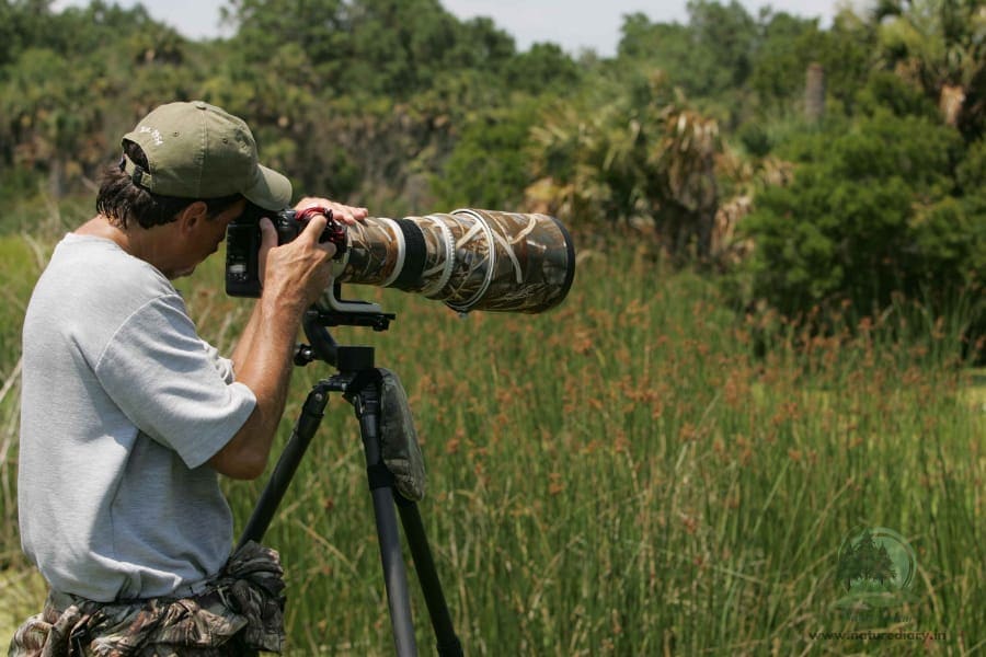 Best camera for wildlife photography