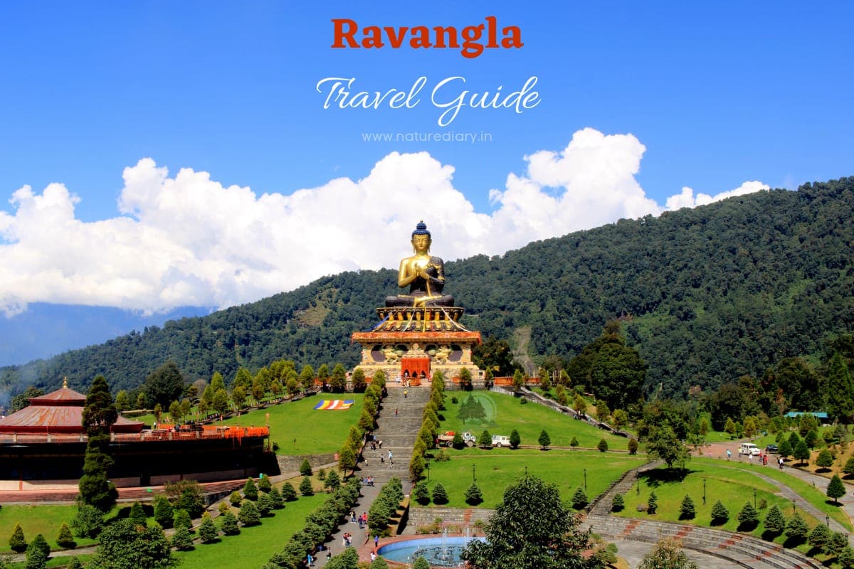 Ravangla travel guide with sightseeing like Buddha park, hotels, weather and temperature