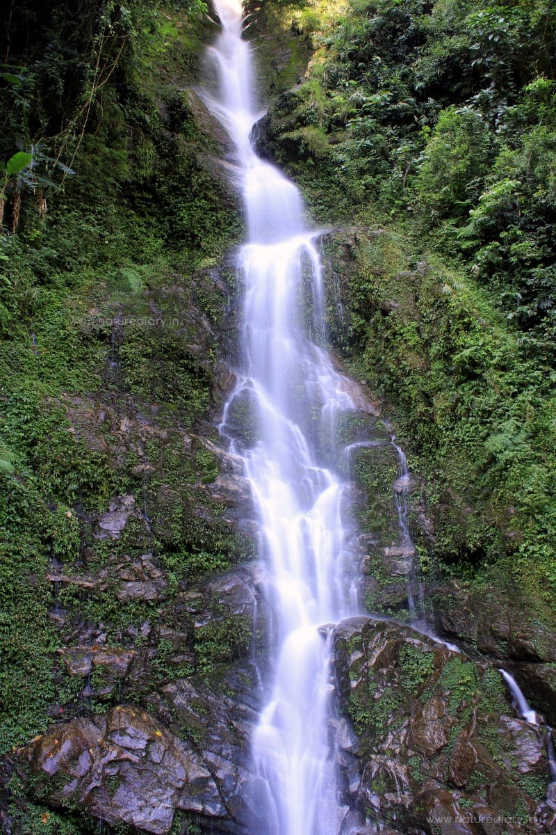 Rimbi Waterfalls in Pelling