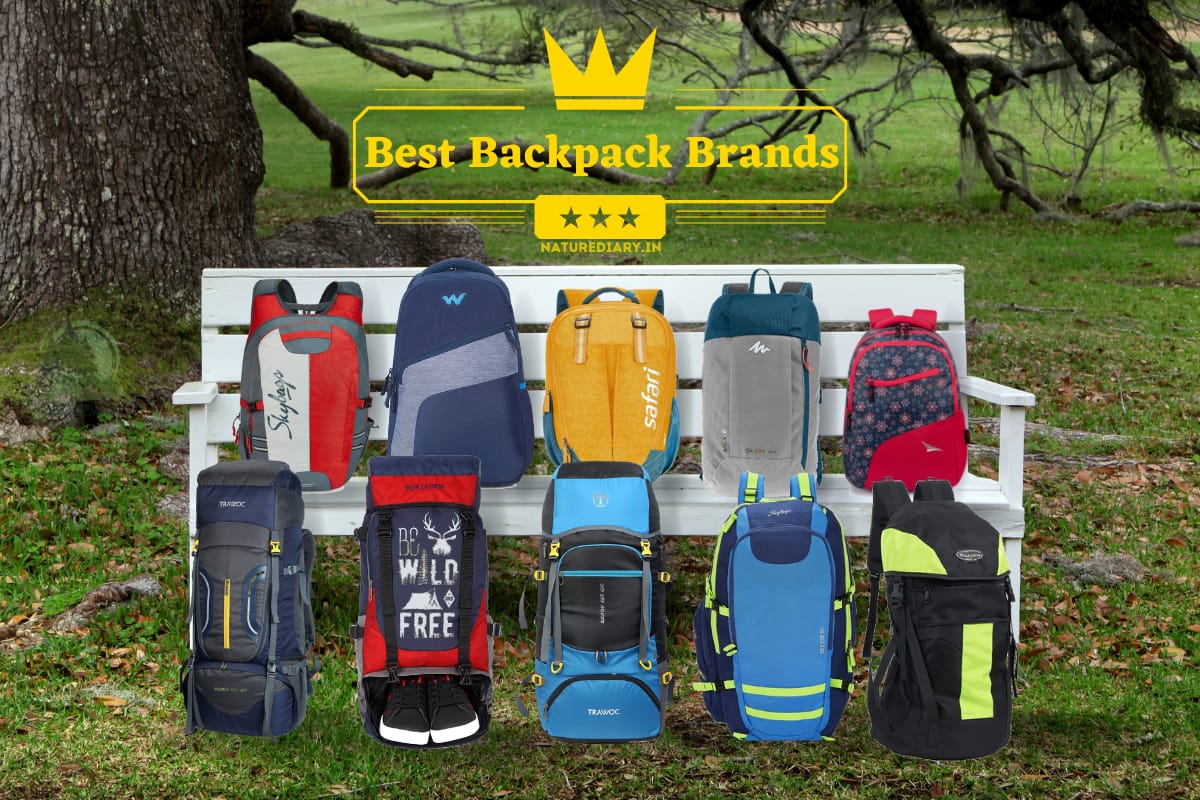 Best Backpack Brands in India