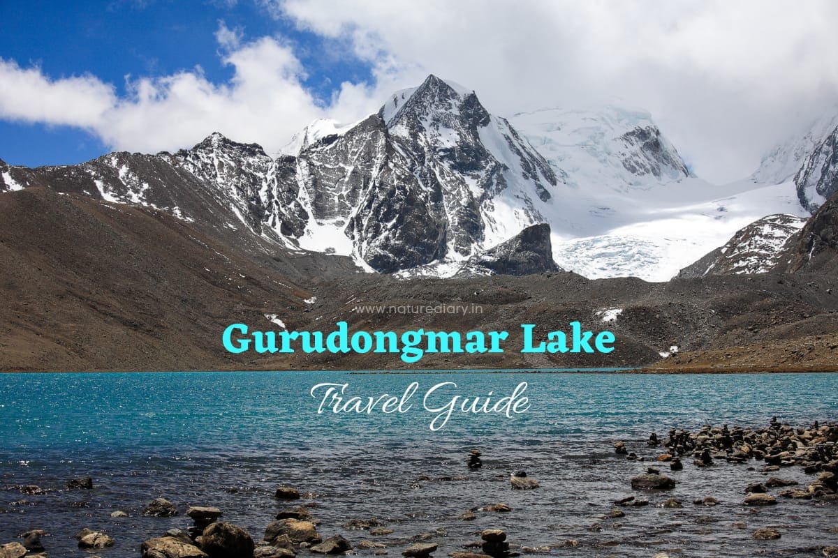 Gurudongmar Lake, Sikkim -Complete Travel Guide