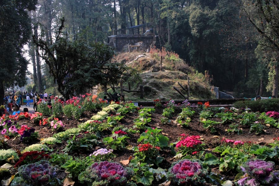 Darjeeling zoo garden