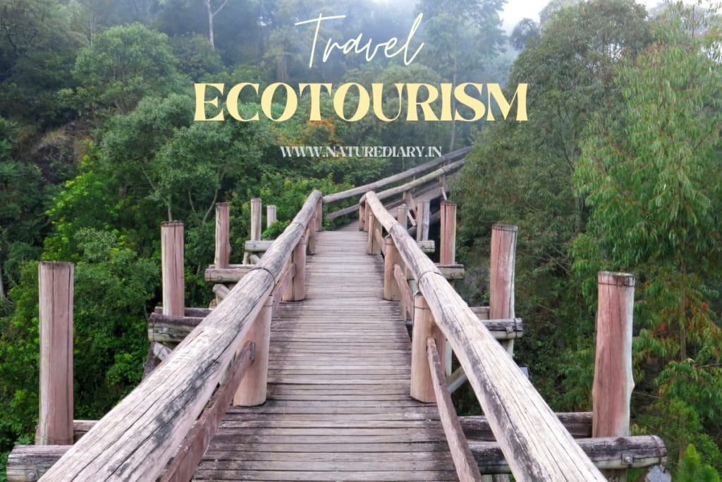 Ecotourism - Importance, Pros, Cons, Practices, & Destinations