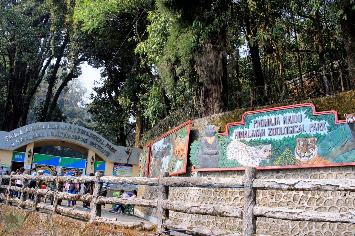 Padmaja Naidu Himalayan Zoological Park (Darjeeling Zoo) entrance