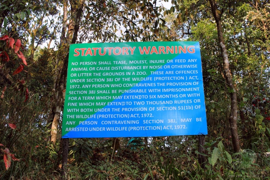 Tips for visiting Padmaja Naidu Himalayan Zoological Park