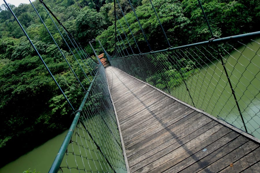hanging bridge at Thenmala ecotourism project