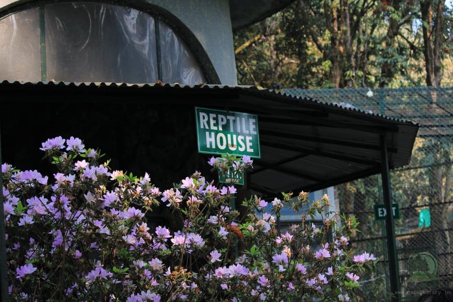 reptile house