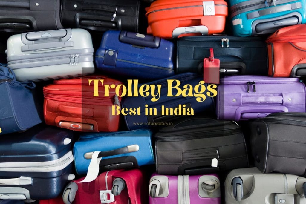 Best Trolley Bags For Traveling in India