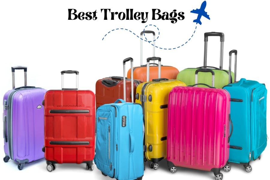 The Best Trolley Bags in India For Travelling (2024)