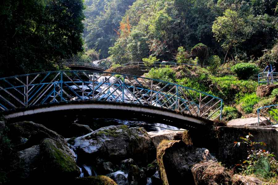Bridge at rock garden, Darjeeling
