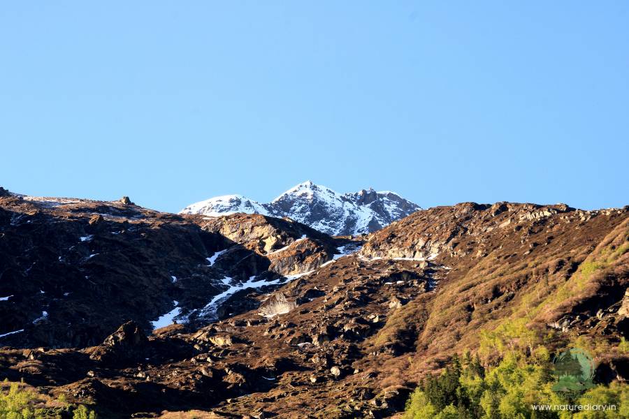 Snow-capped mountain at Kheerganga