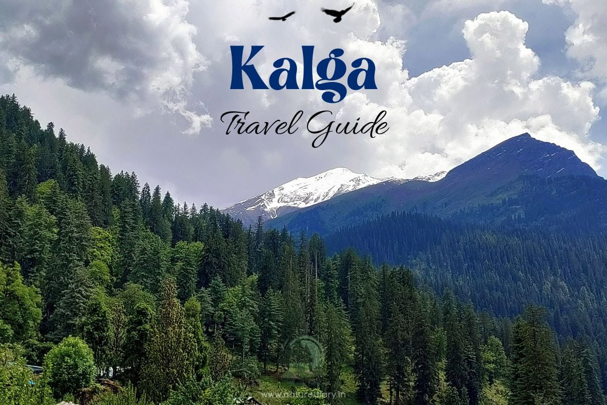 Kalga travel guide
