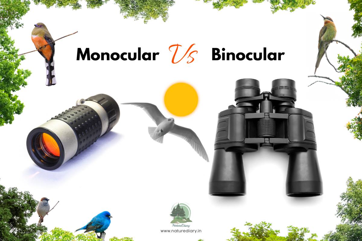 Monocular Vs Binocular