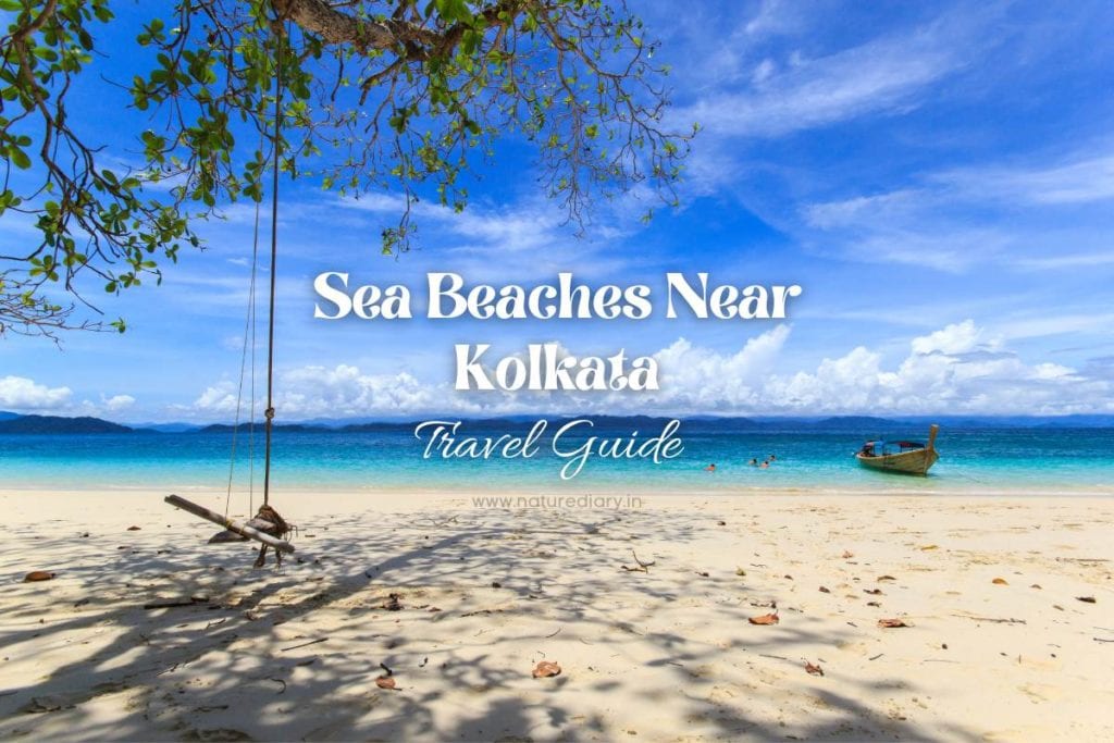 Top 10 Sea Beaches Near Kolkata