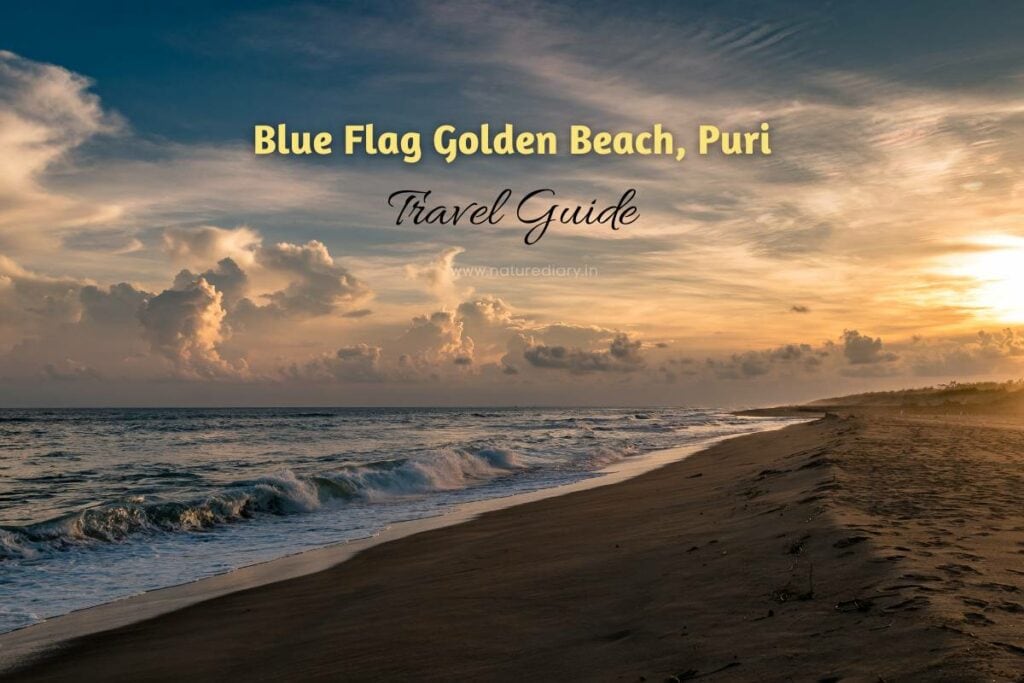 Blue Flag Golden Beach In Puri, Odisha