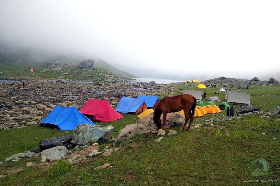 Camping in tents by Gangabal lake