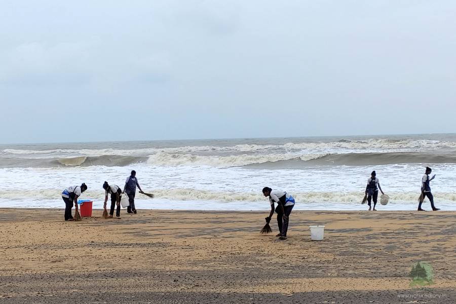 Cleaning activities by authorities at Blue Flag Golden Sea Beach