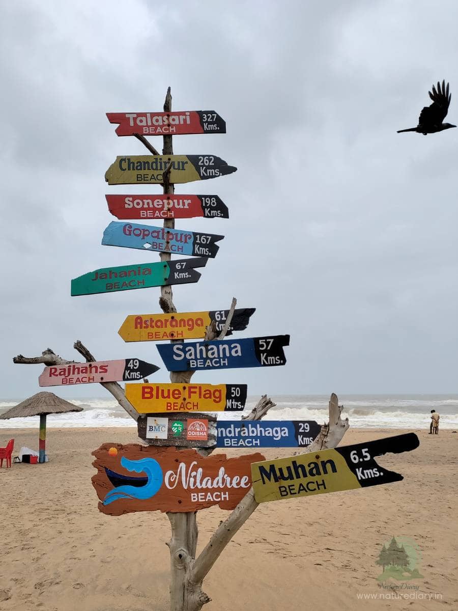 Decorated signage for beaches near Niladree sea beach