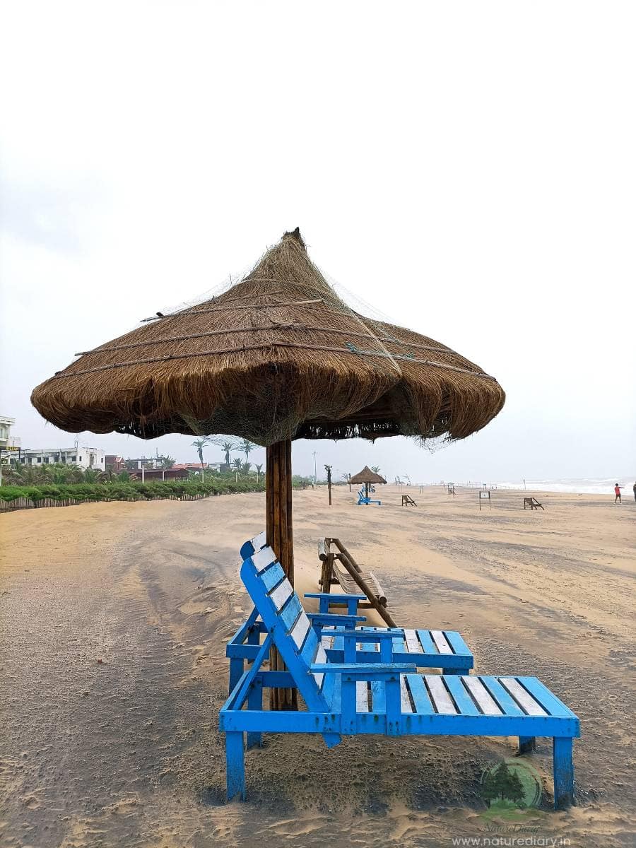 Huts with recliner chairs at Puri Blue Flag beach