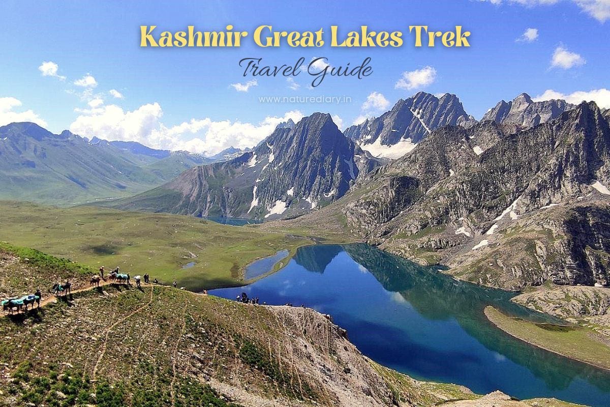 Kashmir Great Lakes (KGL) Trek