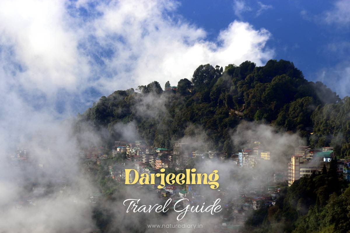 Best Places to Visit in Darjeeling