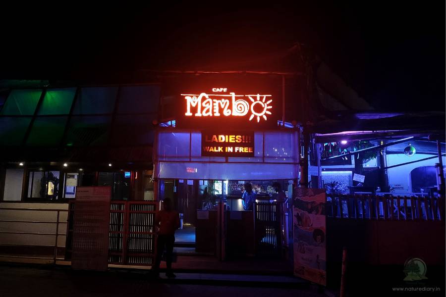 Nightlife at Cafe Mambo, Baga beach