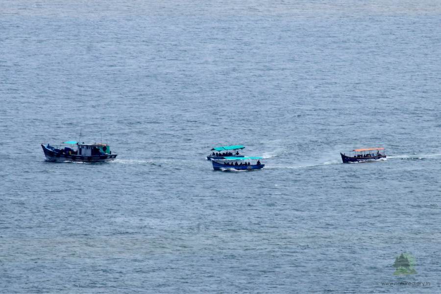 Sea view with boats for spotting dolphin from Aguada fort