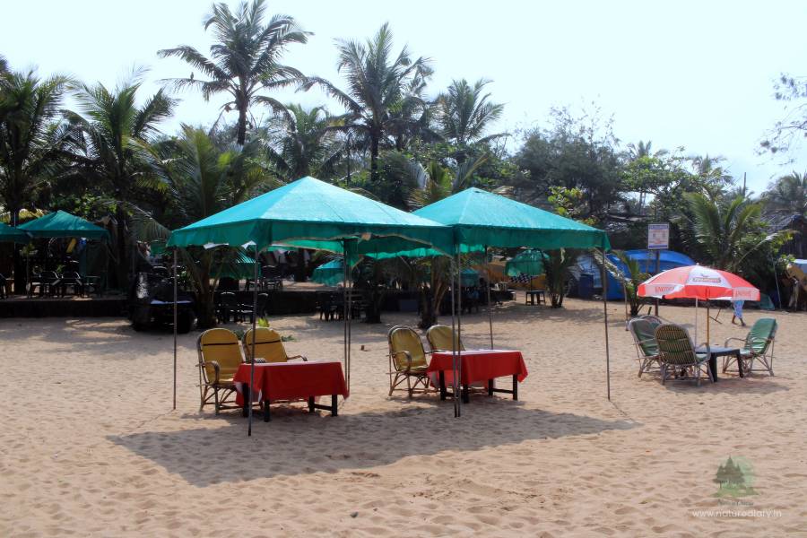 Shack in front of beach-facing hotel in Calangute