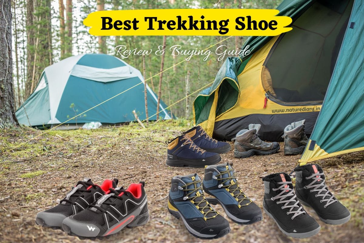 Best Trekking Shoes in India