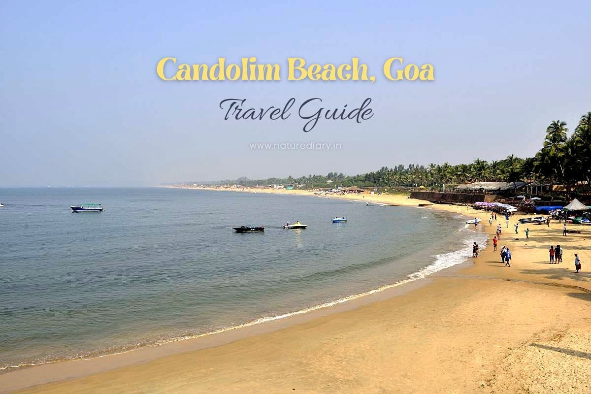 Candolim Beach in Goa