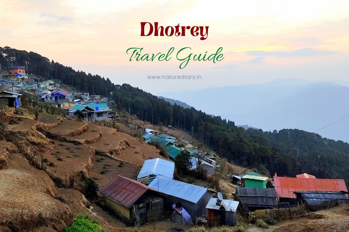 Dhotrey Travel Guide