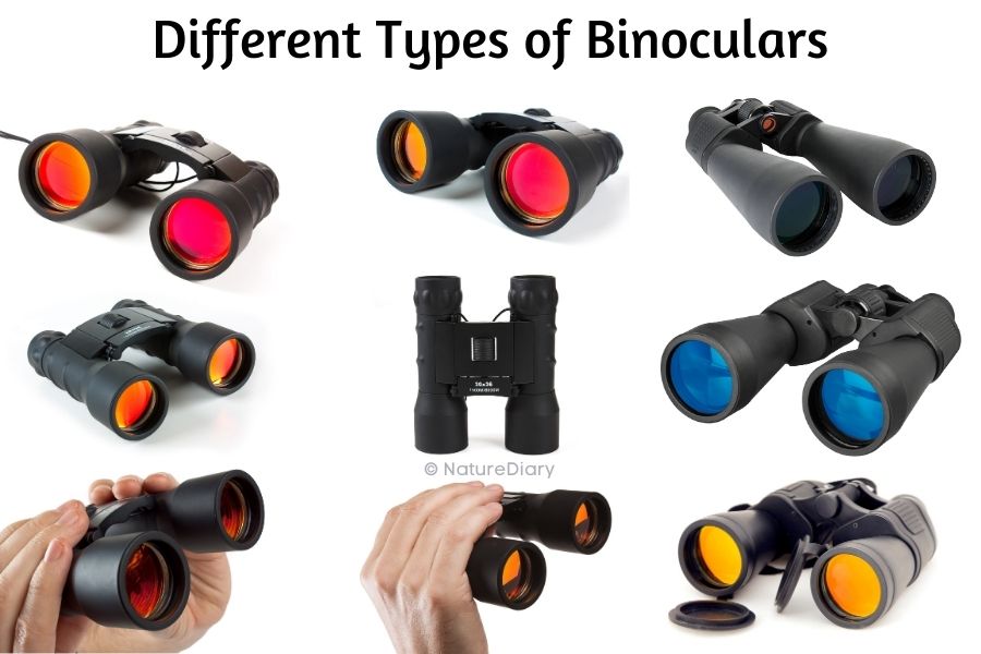 Different Types of Binoculars in India