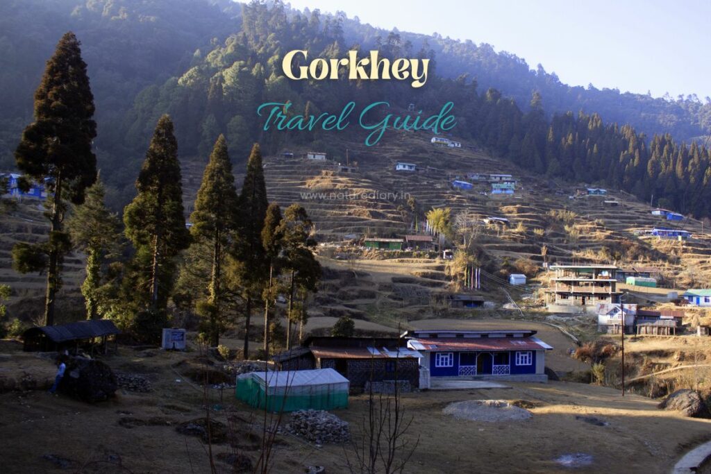 Gorkhey Travel Guide