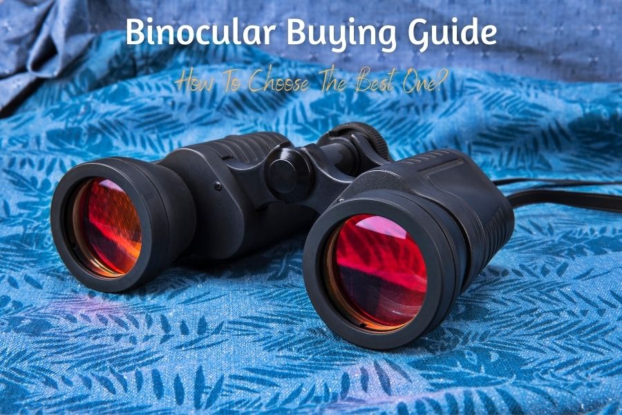 Binocular Buying Guide